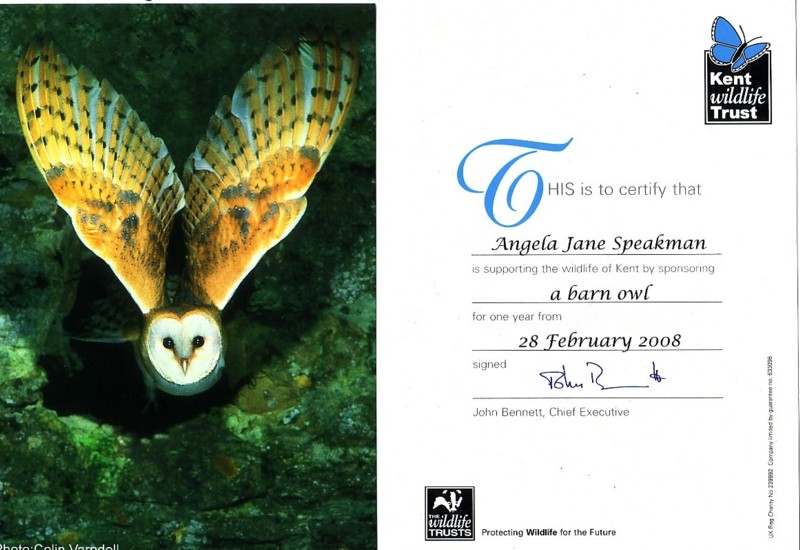 [(1) Angela had a great interest in wildlife, especially Owls. ( please look at Angela's beautiful Owl drawings in ART section) Her sister Claire is  supporting one in Angela's Memory.JPG]