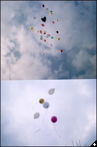 [Anniversary Balloons 2th Feb 2008]