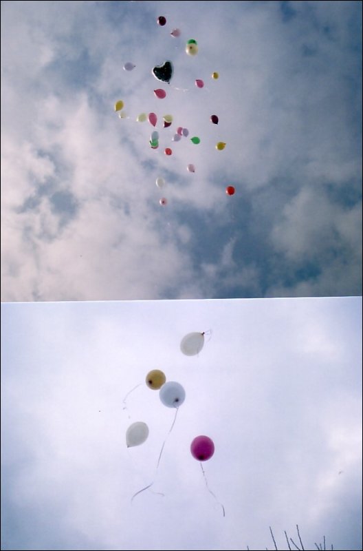 [Anniversary Balloons 2th Feb 2008.JPG]