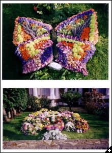 [Some of Angela's Funeral tributes]