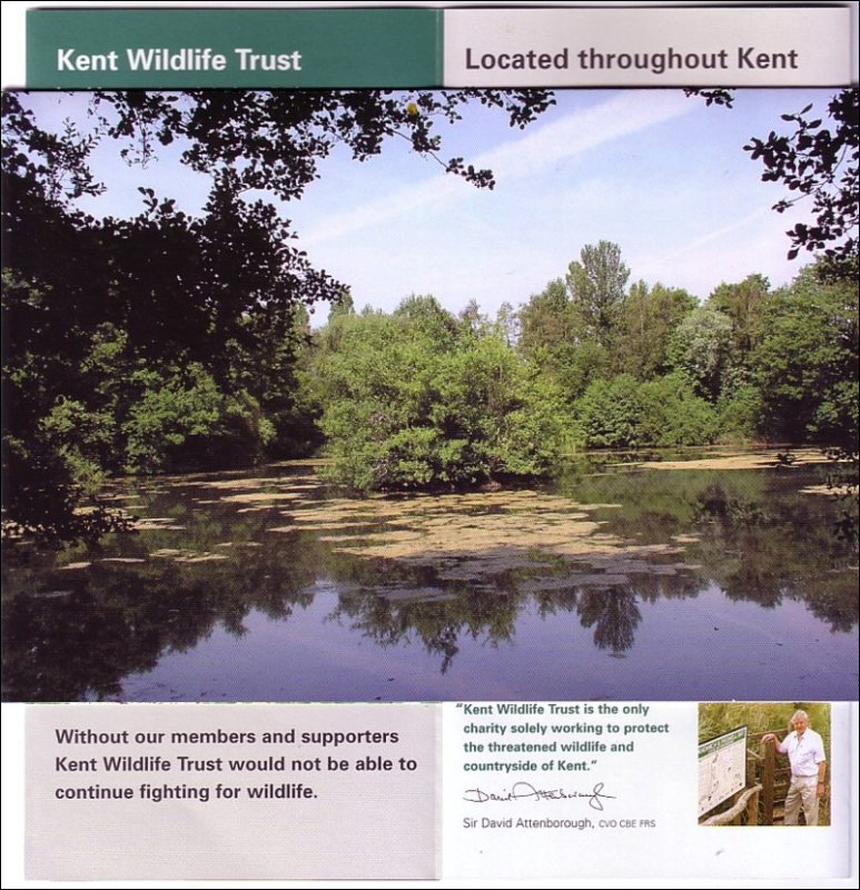 [(2) Angela   THE KENT WILDLIFE TRUST.  The habitat of the Barn Owl.JPG]