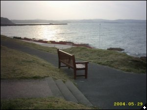 [This Memorial Bench at Shoalstone, Brixham Devon is for Angela & her cousin David. David died many years ago from Leukaemia aged 18 years old]